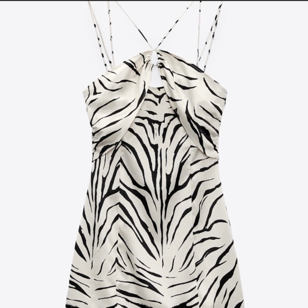 Zebra animal print mini dress
